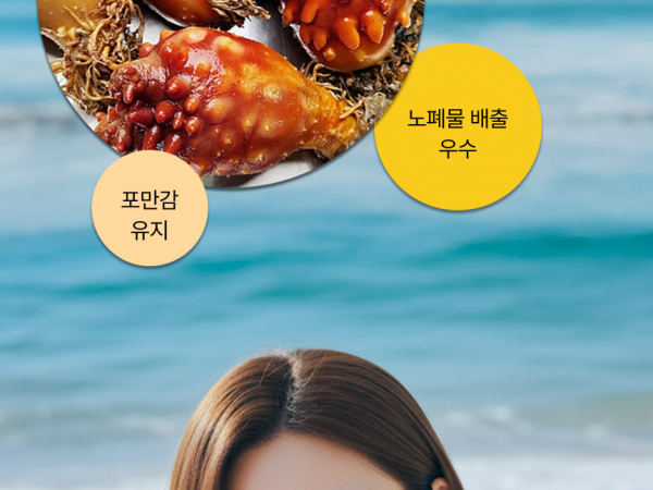 콘드로스 화이버 출시 임박